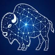 Bisonary app icon