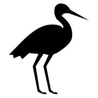 BlackStork app icon