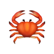 claw.fm app icon