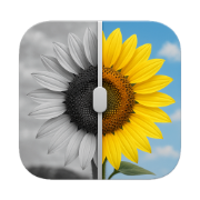 Colorize photo app icon