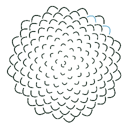 Conifer app icon
