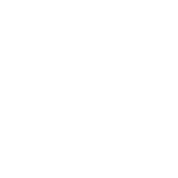 IonRouter app icon