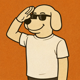 PayPing app icon