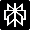 Perplexity app icon