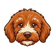 Pilot Protocol app icon