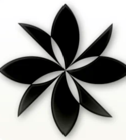 Pinwheel App app icon