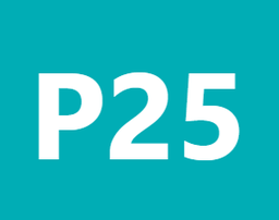 prompt25 app icon