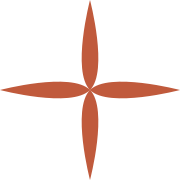 StellaCV app icon