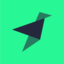 Tinybird Code app icon