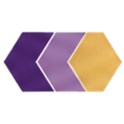 Wiseek app icon