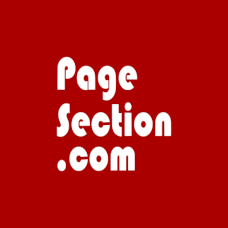 AI Web Page Translator logo