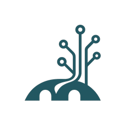 AIRRBridge logo