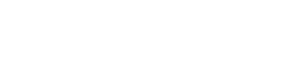 Article Fiesta logo