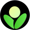 Betula Assistant logo