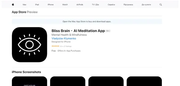 Bliss Brain logo
