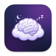 Brain Bed logo