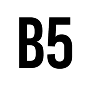 Branding 5 logo