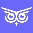 Brandwise logo