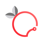 Brusnika LMS logo