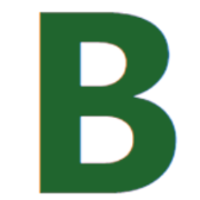BuddyAI logo
