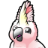 Cockatoo logo