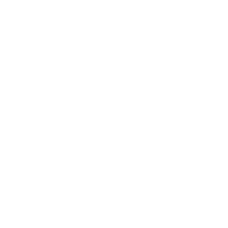 Daily Intel logo