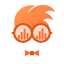 DataNephew logo