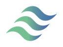 Datapace logo
