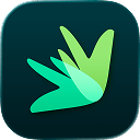 Dovly logo