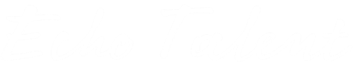 Echo Talent logo