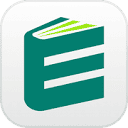 EssayFlow logo