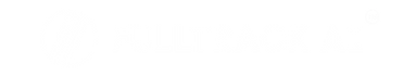 Fulltrack AI logo