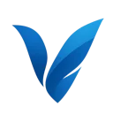 Google VO3 AI logo
