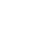 Goose logo