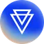 Interview VIP logo