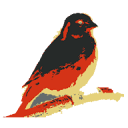 Kanaries logo