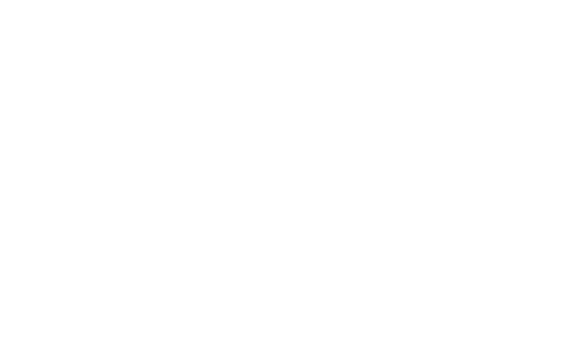 LeyLine logo