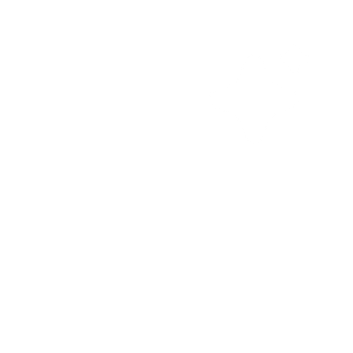 LLM Automatic Translation logo