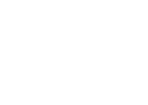 MeshPilot logo