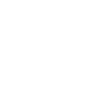 Mivory logo