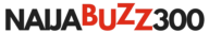 NaijaBuzz300 logo