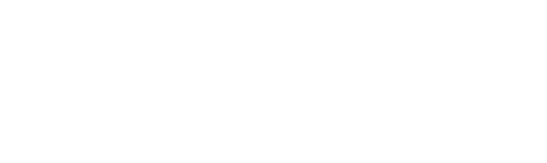 NetSkill logo