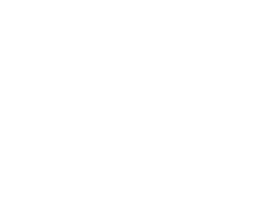 Ninelytics logo