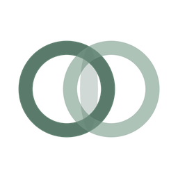 Noctaras logo