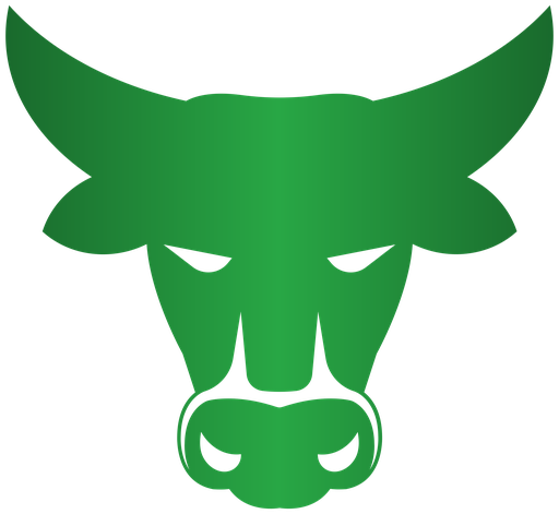 NoobToBull logo
