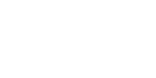 Octigen logo