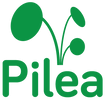 Pilea logo