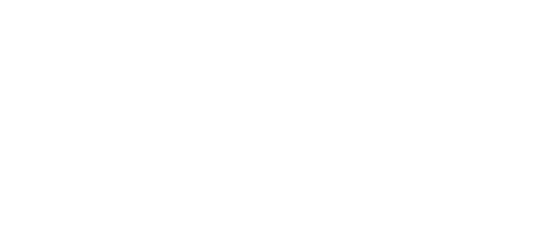 Playo logo