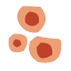 Pomelli logo