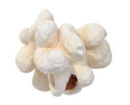Popcorn AI logo